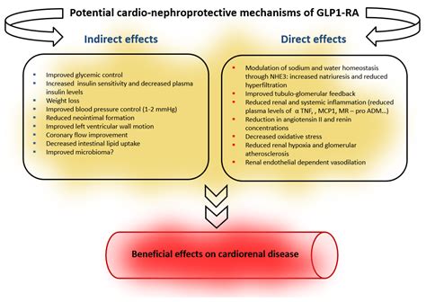 glp agonist contraindications.